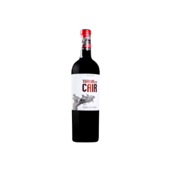 TIERRAS DE CAIR RESERVA 09 R.DUERO 6x75cl