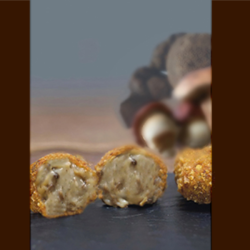 CROQUETTES BOLETS + TRUFFE AMEZTOI 35g 4x1kg