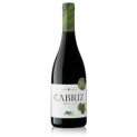 CABRIZ BIOLOGICO 6x75cl