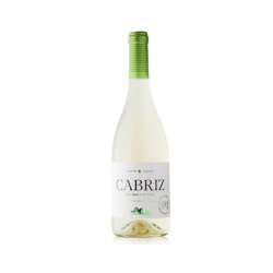CABRIZ BRANCO DAO 6x75cl