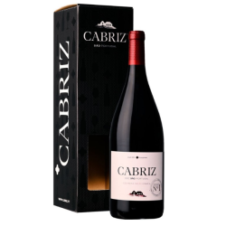 CABRIZ MAGNUM 6x1,5L