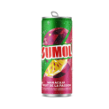SUMOL MARACUJA LATA 4x6x33cl
