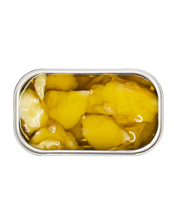 JOSE GOURMET BACALHAU AZEITE E ALHO 8x(8x90gr)