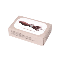 JOSE GOURMET CALAMARS EN RAGOÃT 8x120gr