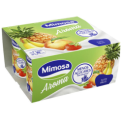 MIMOSA IOGURTE AROMA T-FRUTTI 6x(4x125gr)
