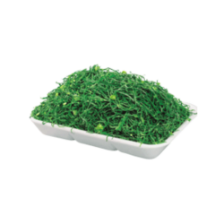 CALDO VERDE 12x250g