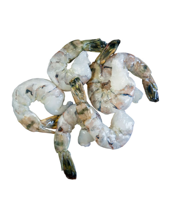 SEAGULL BLACK TIGER  21/25 TAIL-ON 700gr 10x1Kg