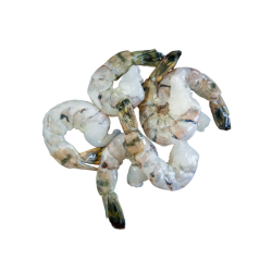 BLACK TIGER BGD 13/15 TAIL-ON 700gr NET 10x1Kg SEAGULL