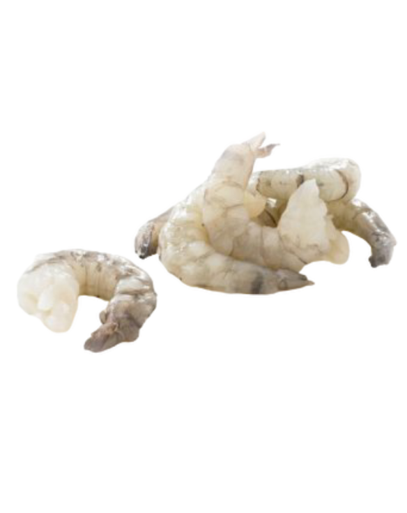 BLACK TIGER BGD 8/12 DECO 700gr NET 10x1Kg SEAGULL
