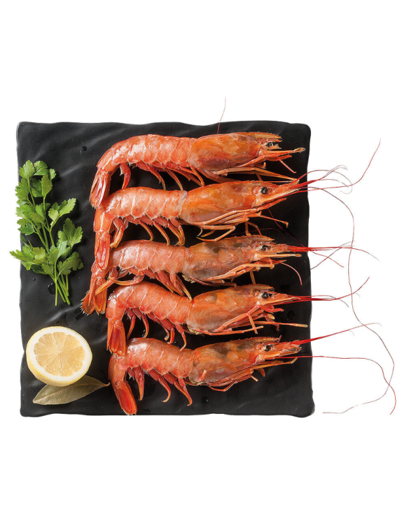 CAMARAO SELVAGEM ARGENTINA L2 6x2Kg