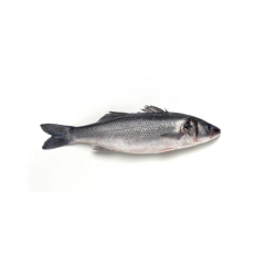 PEROLA D.MAR ROBALO INTEIRO 12x750gr