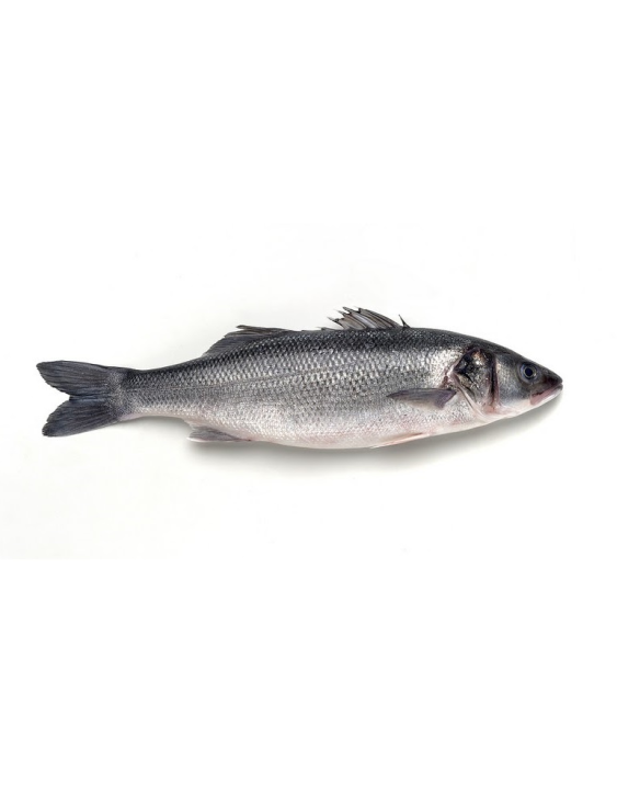 PEROLA D.MAR ROBALO INTEIRO 12x750gr