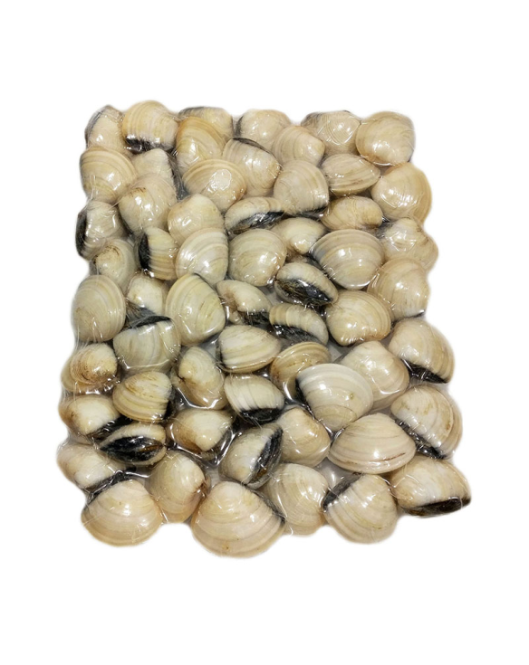 PERLA D.MAR AMEIJOA BR. 60/80 10x1Kg(100% NET.) VNM