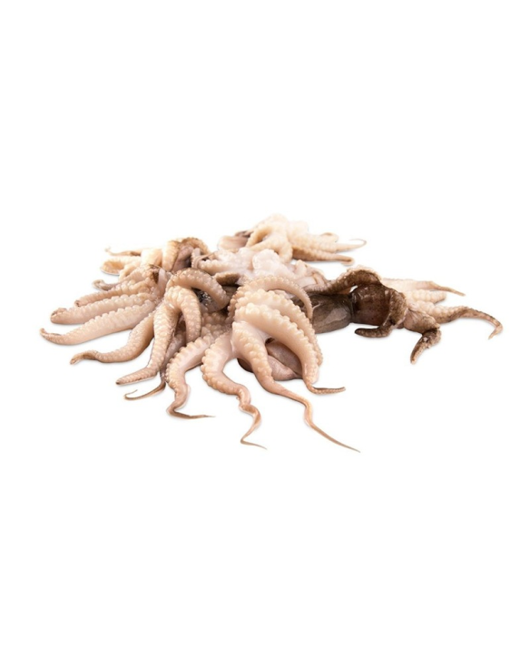 PEROLA DO MAR MOSCARDINOS 20/40 10x1Kg VNM
