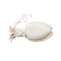 LA PERLA SEICHE NETTOYÃE 200/400 10x1Kg