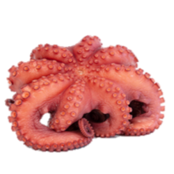 PULPO C/CABEZA RIZ.FLOR T4 REY DEL PULPO 10x 1,5-2Kg