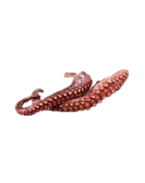 PULPO COCIDO 2 PATAS PAELLADOR 12x180gr