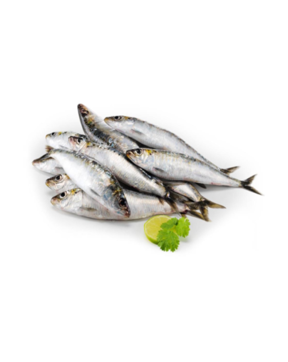 MOREIRA SARDINHA GORDA PORTUGUESA 12x1Kg