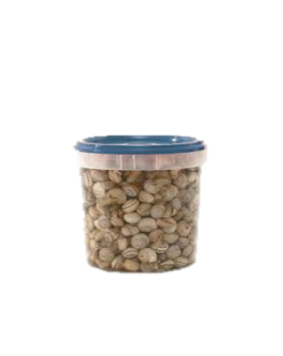 PEROLA D.MAR CARACOL COZIDO 6x1Kg