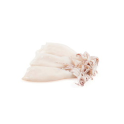 CALAMARES PATAGONIA 12x1Kg SPAIN