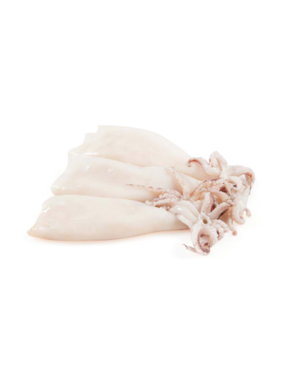 CALAMARES PATAGONIA 12x1Kg SPAIN
