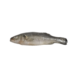 PEROLA D.MAR ROBALO INTEIRO 200/300 HIG. 1x6Kg