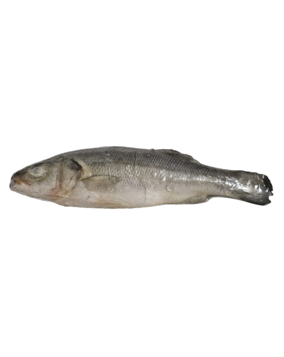 PEROLA D.MAR ROBALO INTEIRO 200/300 HIG. 1x6Kg