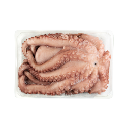 PULPO PLACA T 3/4  - SALGADO