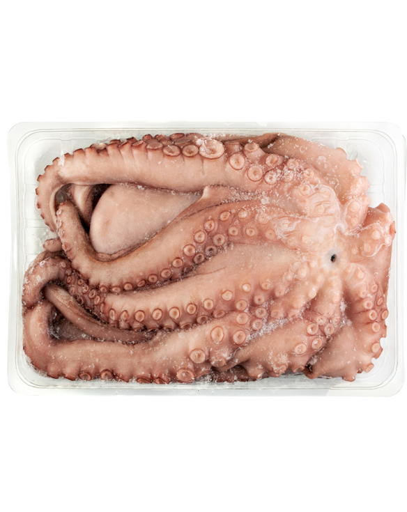 PULPO PLACA T 3/4  - SALGADO