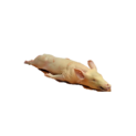 PORCELET / TABLADILLO 5/7 Kg