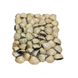 PEROLA D.MAR AMEIJOA 60/80 VIETNAM VACUO 5x1Kg