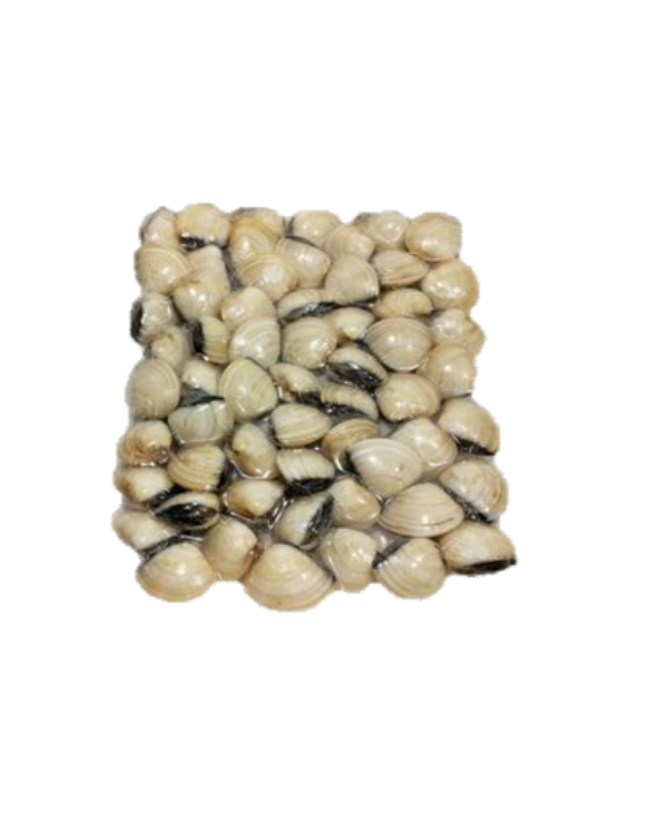 PEROLA D.MAR AMEIJOA 60/80 VIETNAM VACUO 5x1Kg