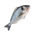 DORADE ROYAL 400/500 PEROLA D.MAR 7x1Kg