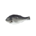 PEROLA D.MAR DOURADE 300/500 GR 1x6Kg