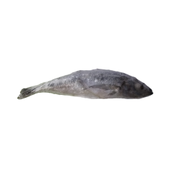 PEROLA D.MAR CARAPAU INTEIRO 1000+ HIG. 1x10Kg