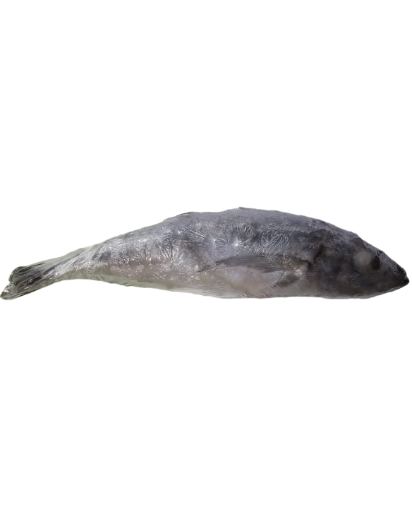 PEROLA D.MAR CARAPAU INTEIRO 1000+ HIG. 1x10Kg