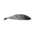 PEROLA D.MAR CARAPAU INTEIRO 1000+ HIG. 1x10Kg