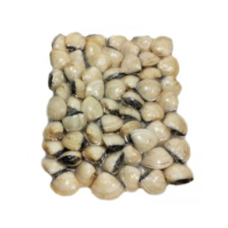 MOREIRA AMEIJOA BRANCA GRANDE 8x800gr