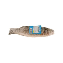 MOREIRA ROBALO INTEIRO ENV.INDIVIDUAL 1x6Kg