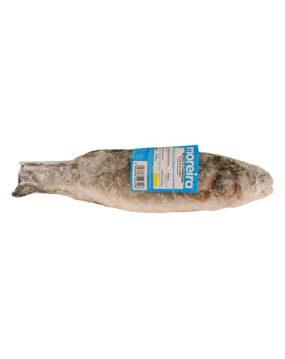 MOREIRA ROBALO INTEIRO ENV.INDIVIDUAL 1x6Kg