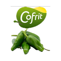 PIMIENTOS DEL PADRÃN FRITOS COFRIT 8x300gr CONG.