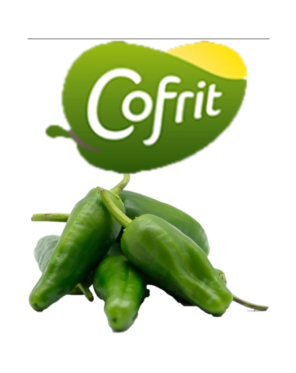 PIMIENTOS DEL PADRÃN FRITOS COFRIT 8x300gr CONG.