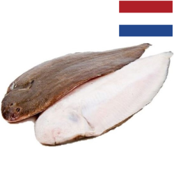 LENGUADO NR. 3 200-300gr NORDSEE 1x10Kg