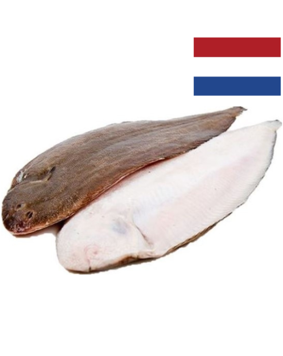 LENGUADO NR. 3 200-300gr NORDSEE 1x10Kg