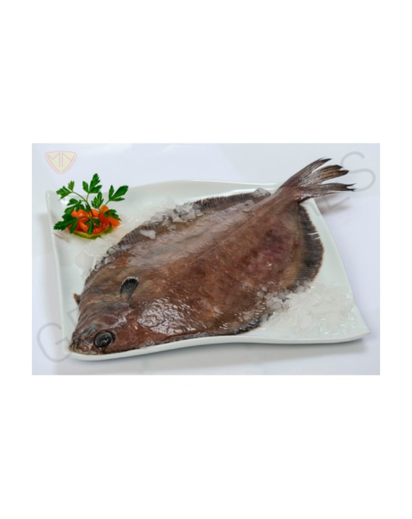 LENGUADO NR. 1 400-500gr NORDSEE 1x10Kg