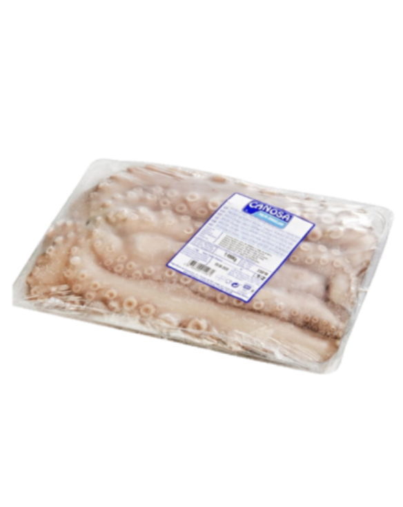 PULPO CON CABEZA N2 1-2 Kg. CANOSA 1x15,5Kg