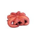 PULPO C/CABEZA RIZ.FLOR T1 REY DEL PULPO 3x 4-6Kg