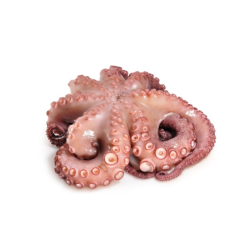 PULPO C/CABEZA RIZ.FLOR T2 REY DEL PULPO 4x 3-4Kg