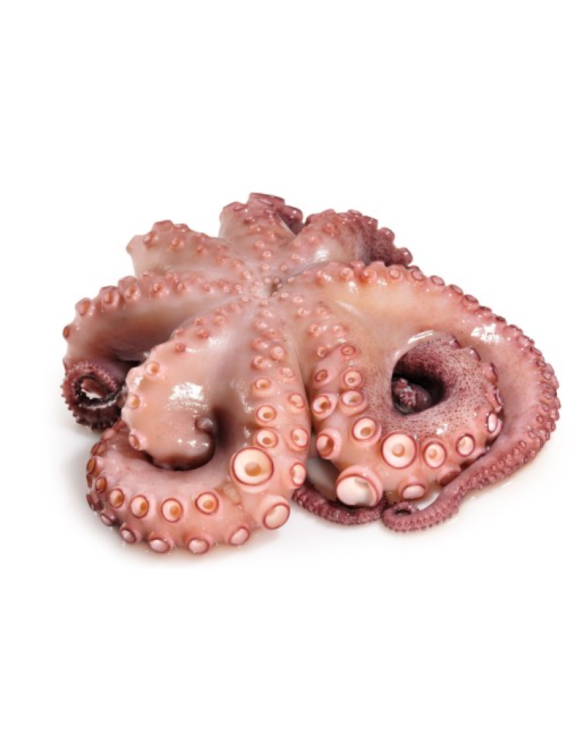 PULPO C/CABEZA RIZ.FLOR T3 REY DEL PULPO 6x 2-3Kg