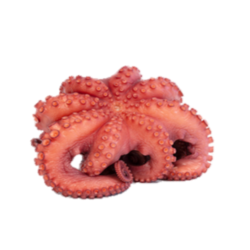 PULPO C CABEZA N0 REY DEL PULPO 6x 3-4Kg
